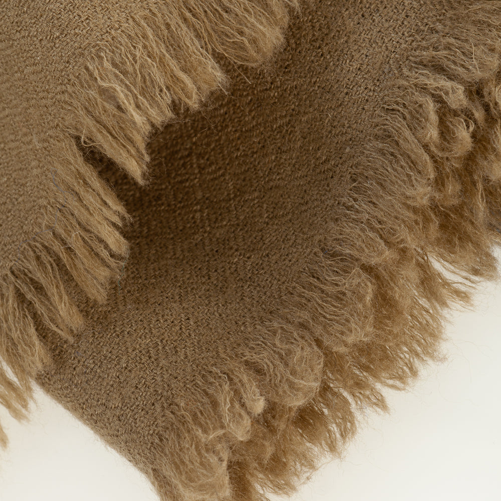 
                      
                        The Adorned Arctic Blossom | Pashmina
                      
                    